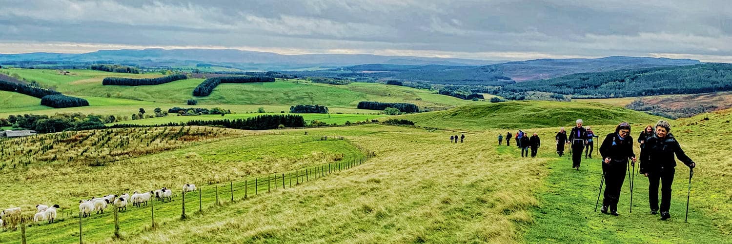 Walking on the Edge of the Cheviots